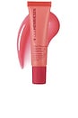 view 1 of 7 Pout Preserve Peptide Lip Treatment in Strawberry Sorbet
