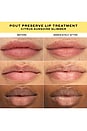 view 4 of 8 TRATAMIENTO LABIAL CON PÉPTIDOS POUT PRESERVA POUT PRESERVE PEPTIDE LIP TREATMENT in Citrus Sunshine Glimmer