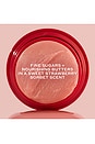 view 10 of 10 EXFOLIANT LÈVRES POUT PRESERVE SUGAR MELT LIP SCRUB in Strawberry Sorbet