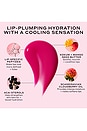 view 6 of 8 BÁLSAMO LABIAL CHILLER in Maldives Melon