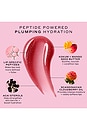 view 6 of 6 TRAITEMENT POUR LES LÈVRES LIMITED EDITION POUT PRESERVE PEPTIDE LIP TREATMENT IN POMEGRANATE FIZZ in 