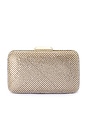 view 1 of 6 Ronny Crystal Mesh Clutch in Champagne