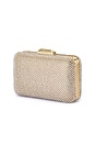 view 2 of 6 Ronny Crystal Mesh Clutch in Champagne