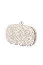 view 2 of 7 Valentina Pearl Clutch in Pearl & Silver