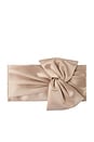 view 1 of 5 Chloe Tie Front Clutch in Natural