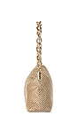 view 4 of 6 Skylar Ball Mesh Bag in Gold