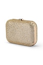 view 2 of 4 POCHETTE RAE in Champagne