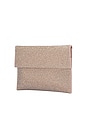 view 3 of 5 Cara Crystal Envelope Clutch in Champagne