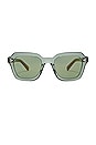 view 1 of 3 Kienna Sunglasses in Ivy