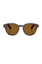 view 1 of 3 Cary Grant Sunglasses in Brown