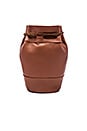 view 2 of 5 Georgina Bucket Bag in Cognac