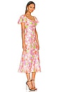 view 2 of 3 Amelia Dress in Polka Dot Floral