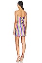 view 3 of 3 Adaline Dress in Circle Stripe