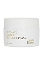 view 1 of 10 Ultimate Barrier Restore Cream in 