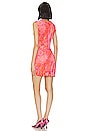 view 3 of 4 Zusi Sleeveless Mini Dress in Pink & Burnt Orange Combo