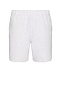 view 1 of 5 Club Shorts in Crater