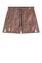 view 5 of 6 Trail Shorts in Black & Gobi