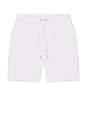 view 4 of 5 Club Collective Shorts in Crater
