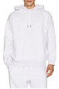 view 1 of 5 Club Collective Hoodie in Crater