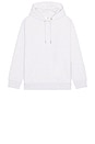 view 5 of 5 Club Collective Hoodie in Crater