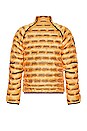 view 6 of 10 CHAQUETA ACTIVEWEAR in Thorn & Mango