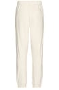 view 2 of 5 Club Pants in Silver