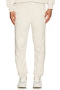 view 3 of 5 Club Pants in Silver