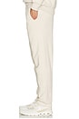 view 4 of 5 Club Pants in Silver