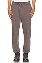 view 1 of 6 Club Collective Pants in Ember