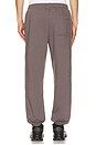view 4 of 6 Club Collective Pants in Ember