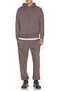 view 5 of 6 Club Collective Pants in Ember