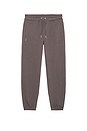 view 6 of 6 Club Collective Pants in Ember