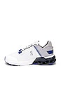 view 5 of 8 ZAPATILLA DEPORTIVA in Undyed-white & Cobalt