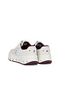 view 3 of 6 SNEAKERS THE ROGER WILDCARD in Ivory & Maroon