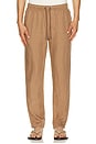 view 1 of 5 PANTALON NA in Sandlewood