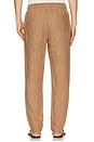 view 3 of 5 PANTALON NA in Sandlewood