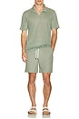 view 4 of 4 Shaun Linen Polo in Sage