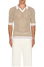 view 3 of 3 Mesh Knit Polo in Tan & White