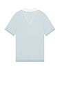 view 2 of 4 Cotton Textured Johnny Collar Polo in Pale Blue & White