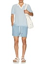 view 4 of 4 Cotton Textured Johnny Collar Polo in Pale Blue & White