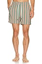 view 1 of 4 BAÑADOR CHARLES in Green Multi