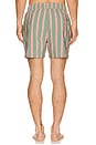 view 2 of 4 BAÑADOR CHARLES in Green Multi