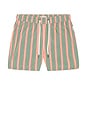 view 4 of 4 BAÑADOR CHARLES in Green Multi