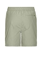 view 2 of 4 TRUNKS NATACIÓN CHARLES in Sage