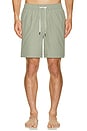 view 3 of 4 TRUNKS NATACIÓN CHARLES in Sage