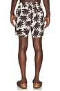 view 2 of 4 MAILLOT DE BAIN CHARLES in Egret Multi