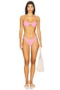 view 4 of 5 Lucie Bikini Bottom in Gin Fizz & White