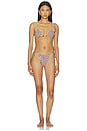 view 4 of 5 Martine Bikini Bottom in Cacao & Ecru