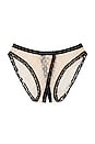 view 1 of 2 Coucou Lola Culotte Panty in Tinted & Black