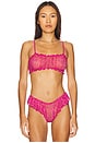 view 1 of 4 Joey Bralette in Wild Rose